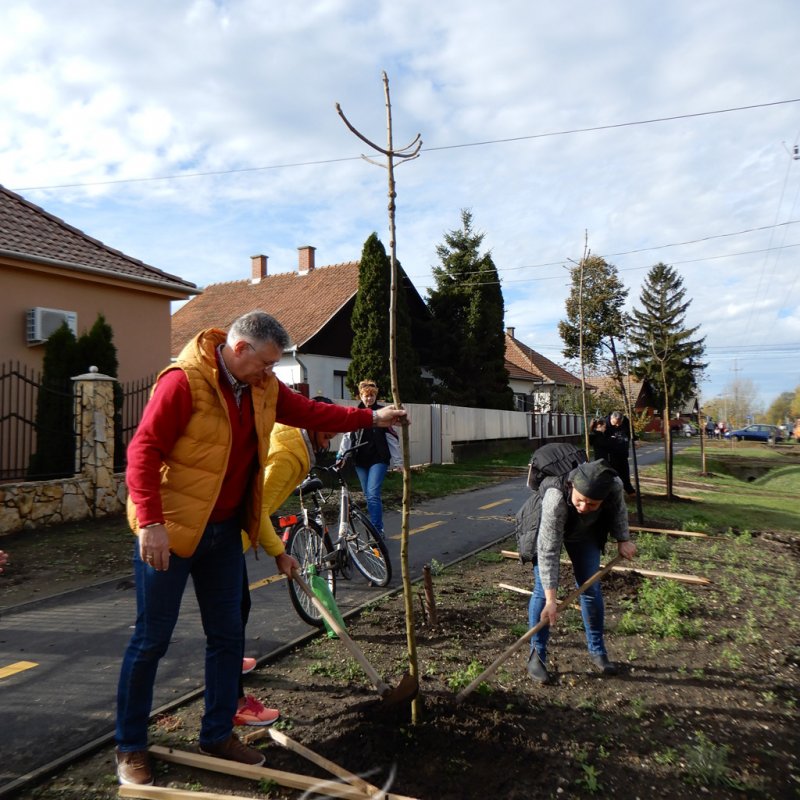 Közösségi faültetés Berettyóújfaluban 33